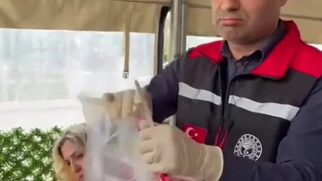''Karnavalın her yeri Hindistan sokak lezzetleri''