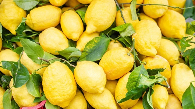 Limon ihracatı durduruldu