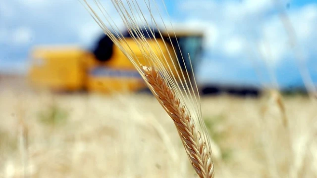 Tarım-GFE yıllık yüzde 28,92 arttı