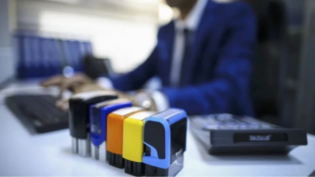Yeni kurulan şirket sayısı artıyor