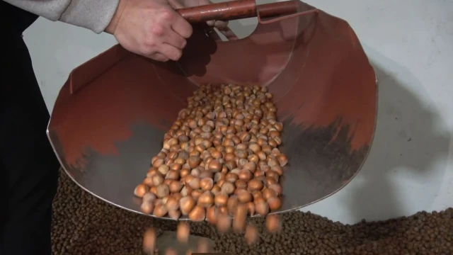 Fındıkta stoklar eriyor